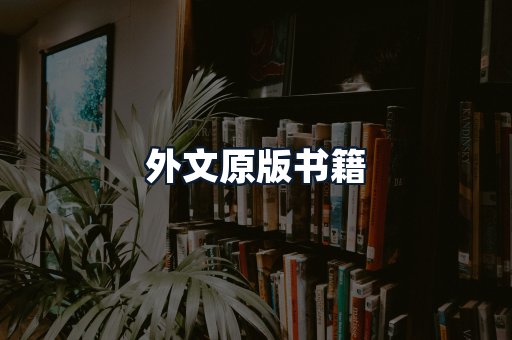 外文原版书籍